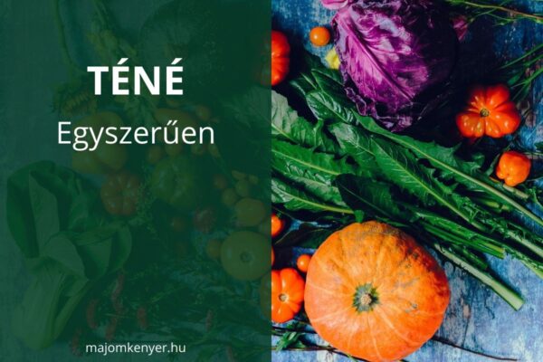 Teljes értékű növényi étrend egyszerűen